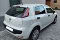 Fiat Punto Evo Punto Evo 5p 1.4 natural power Active 70cv Bianco - thumbnail 4