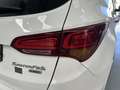 Hyundai SANTA FE 2.2CRDi 4x2 Klass 7s Blanco - thumbnail 13