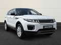 Land Rover Range Rover Evoque SE 2.0 TD4+Keyless+Kam.+ Blanc - thumbnail 6