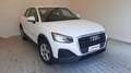 Audi Q2 35 TFSI Business Bianco - thumbnail 3