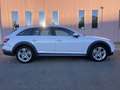 Audi A4 allroad A 4 OLLROAD STUPENDA IN TUTTO KM CERTIFICATI - thumbnail 2