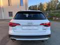 Audi A4 allroad A 4 OLLROAD STUPENDA IN TUTTO KM CERTIFICATI - thumbnail 7