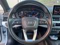 Audi A4 allroad A 4 OLLROAD STUPENDA IN TUTTO KM CERTIFICATI - thumbnail 11