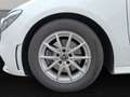 Mercedes-Benz B 200 AMG Line Automatik Night-Paket Navi Sitzheizung Rü Wit - thumbnail 8