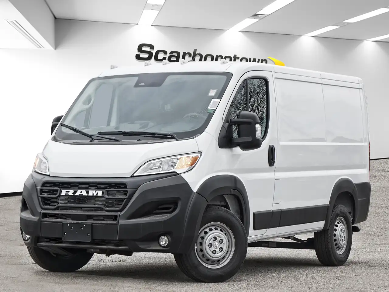 RAM Promaster снимка RAM Promaster