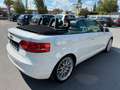 Audi A3 Cabrio 1.2 S line Sportpaket plus NAVI*SZHZ* Weiß - thumbnail 5