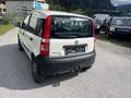 Fiat Panda Panda 4x4 Climbing Climbing Weiß - thumbnail 5