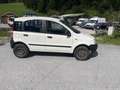 Fiat Panda Panda 4x4 Climbing Climbing Weiß - thumbnail 8