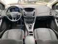 Ford Focus 1.5 EcoBoost 110kW Sport PDC Klimatronik Nero - thumbnail 15