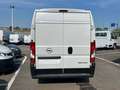 Opel Movano 35 2.2 BlueHDi 140 S&S L2H2 (IVA ESCL.) Bianco - thumbnail 11