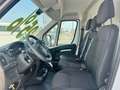 Opel Movano 35 2.2 BlueHDi 140 S&S L2H2 (IVA ESCL.) Bianco - thumbnail 14