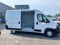 Opel Movano 35 2.2 BlueHDi 140 S&S L2H2 (IVA ESCL.) Bianco - thumbnail 6