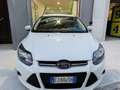 Ford Focus 5p 1.6 tdci Titanium 115cv Bianco - thumbnail 3