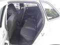 Volkswagen Polo 1.0 TSI DSG Active LED+Navi+App+PDC+Climatr Grau - thumbnail 6