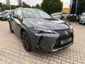 Lexus UX 250h Style+ Edition LED, SHZ, AppleCarPlay Grijs - thumbnail 3
