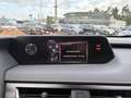 Lexus UX 250h Style+ Edition LED, SHZ, AppleCarPlay Grijs - thumbnail 10