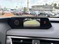 Lexus UX 250h Style+ Edition LED, SHZ, AppleCarPlay Grijs - thumbnail 11