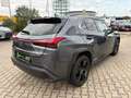 Lexus UX 250h Style+ Edition LED, SHZ, AppleCarPlay Grijs - thumbnail 5