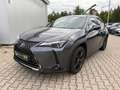 Lexus UX 250h Style+ Edition LED, SHZ, AppleCarPlay Grijs - thumbnail 2