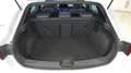 CUPRA Leon 1.5 TSI 110Kw Blanco - thumbnail 11