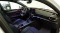 CUPRA Leon 1.5 TSI 110Kw Blanco - thumbnail 14