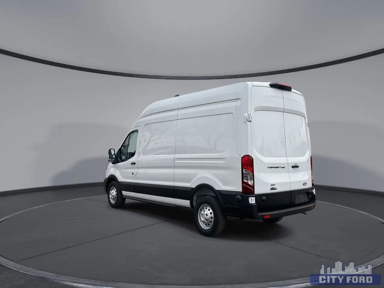 Ford Transit Cargo Van снимка Ford Transit Cargo Van