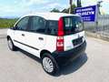 Fiat Panda 4x4 NUR 62TKM NEUES PICKERL 11-2025 Wit - thumbnail 8