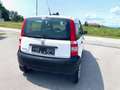 Fiat Panda 4x4 NUR 62TKM NEUES PICKERL 11-2025 Wit - thumbnail 7
