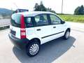Fiat Panda 4x4 NUR 62TKM NEUES PICKERL 11-2025 Wit - thumbnail 6