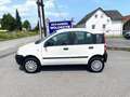 Fiat Panda 4x4 NUR 62TKM NEUES PICKERL 11-2025 Wit - thumbnail 2
