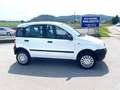 Fiat Panda 4x4 NUR 62TKM NEUES PICKERL 11-2025 Wit - thumbnail 5