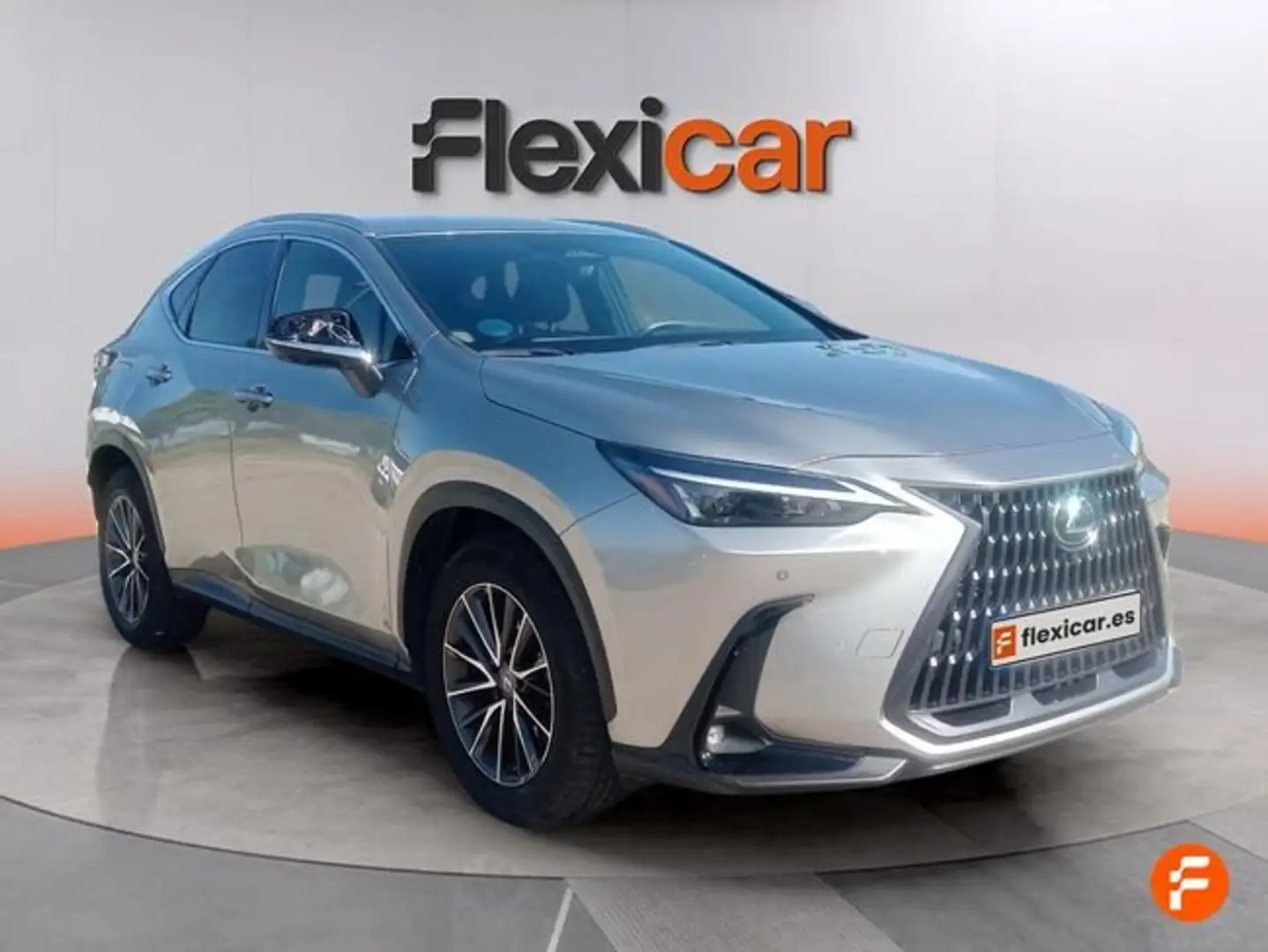 Lexus NX 300h 450h+ F Sport 4WD Gris - 2