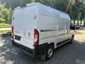 Fiat Ducato Kastenwagen L2H2 3500 140 MT *RFK*AAC*NAVI*AHV* Weiß - thumbnail 4
