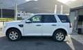 Land Rover Freelander Freelander 2,2 SD4 S DPF Aut. S Wit - thumbnail 5