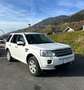 Land Rover Freelander Freelander 2,2 SD4 S DPF Aut. S Wit - thumbnail 3