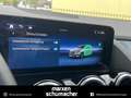 Mercedes-Benz B 250 B 250 e ProgressiveAdv Kamera+Winter+Sitzkomfort Grau - thumbnail 26