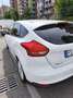 Ford Focus 5p 1.6 Plus Gpl 120cv - thumbnail 7