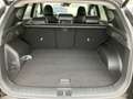 Hyundai TUCSON NX4 GO Plus 1,6 T-GDi 4WD DCT Schwarz - thumbnail 10