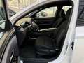 Hyundai TUCSON 1.6 T-GDI Blackl. Mild-Hybrid 4WD Weiß - thumbnail 8