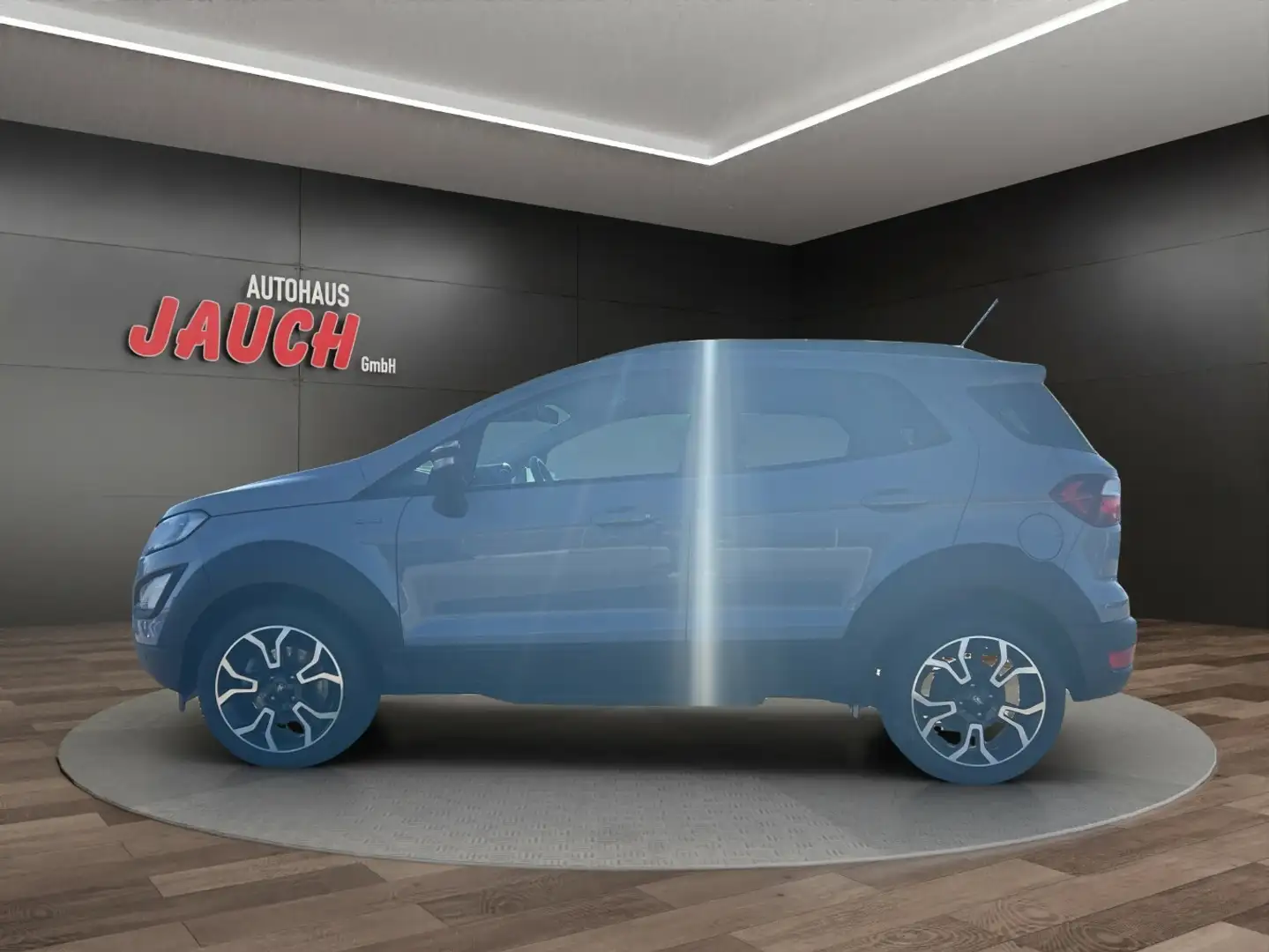 Ford EcoSport Ecoboost 1.0 Grigio - 2