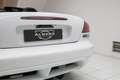 Dodge Viper SRT-10 Roadster 8.3 V10 - Soft-top - Perfect - You Weiß - thumbnail 32