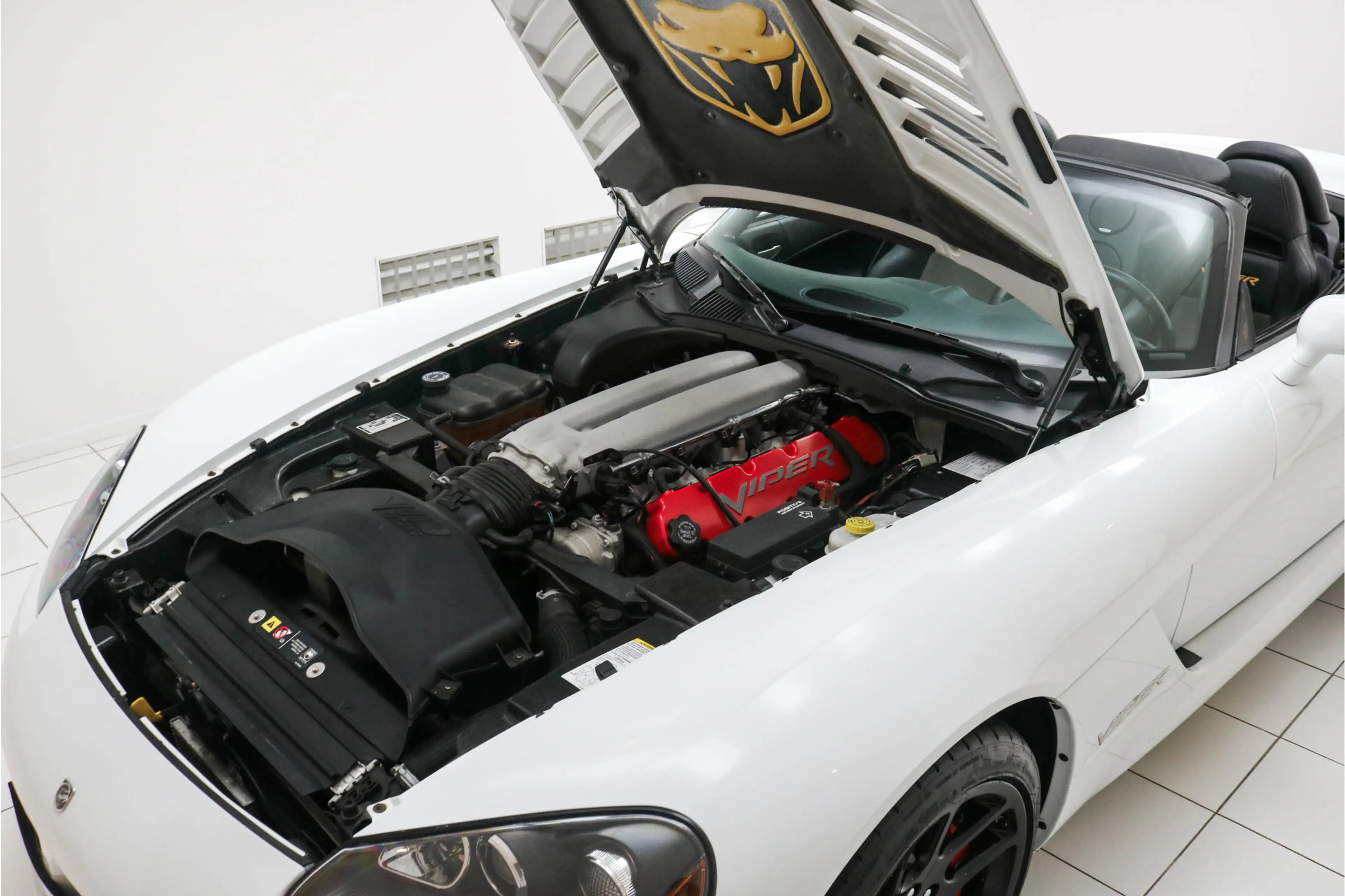 Dodge Viper SRT-10 Roadster 8.3 V10 - Soft-top - Perfect - You — photo 13