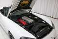 Dodge Viper SRT-10 Roadster 8.3 V10 - Soft-top - Perfect - You Blanco - thumbnail 15
