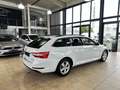 Skoda Superb Combi Ambition 4x4 Blanco - thumbnail 7