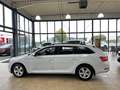 Skoda Superb Combi Ambition 4x4 Blanco - thumbnail 6