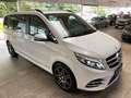 Mercedes-Benz V 250 d 4Matic *AMG Line*7-Sitzer*Garantie* White - thumbnail 12