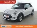 MINI Cooper Cabrio Cooper Grau - thumbnail 1
