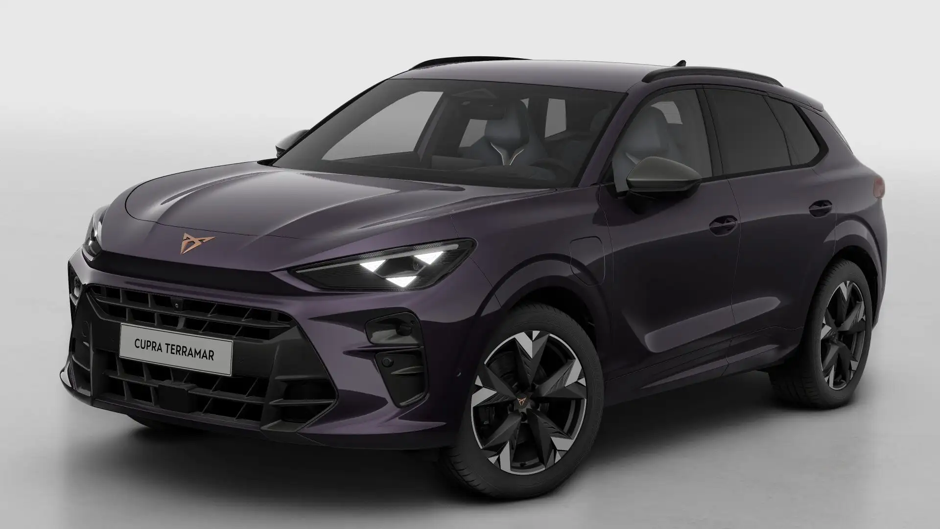 CUPRA Terramar VZ Performance | 360 graden camera | Achteruitrijc Grijs - 2