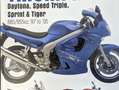 Triumph Speed Triple 955i Negro - thumbnail 20