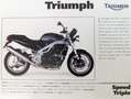 Triumph Speed Triple 955i Zwart - thumbnail 23